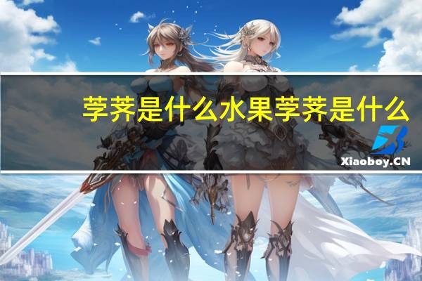 茡荠是什么水果 茡荠是什么