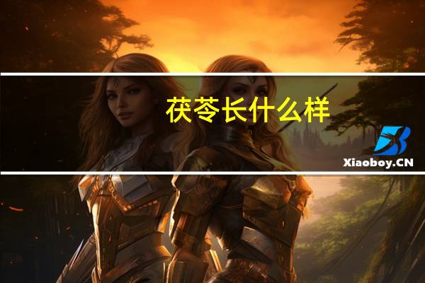 茯苓长什么样