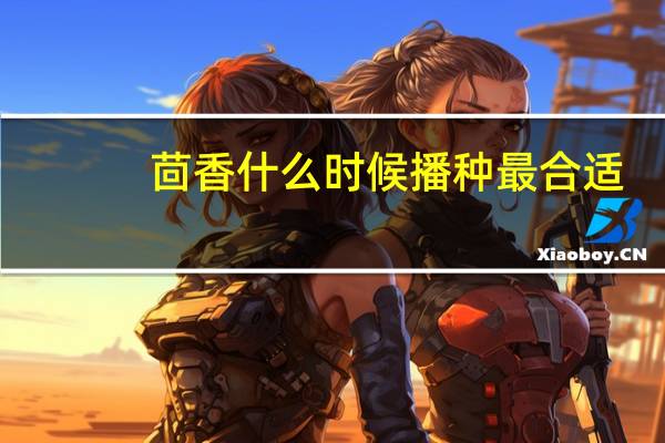 茴香什么时候播种最合适