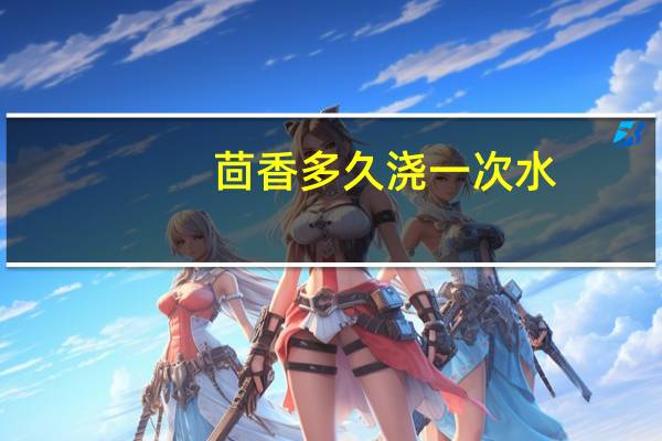 茴香多久浇一次水