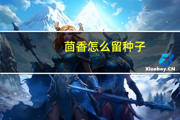 茴香怎么留种子