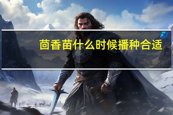 茴香苗什么时候播种合适