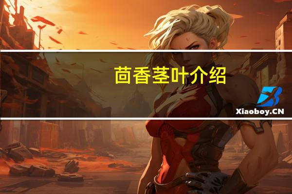茴香茎叶介绍