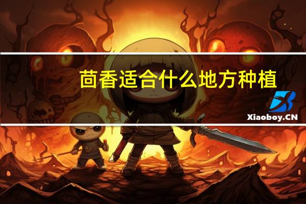 茴香适合什么地方种植