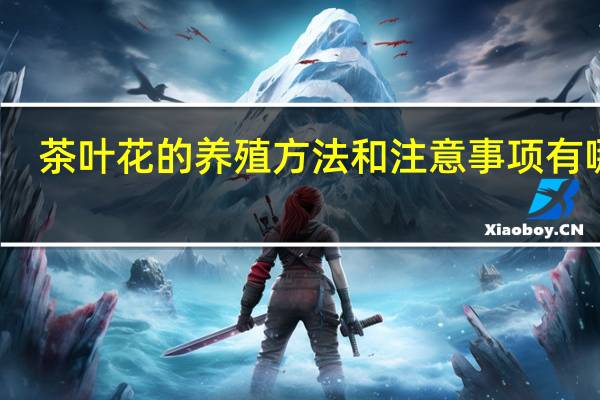 茶叶花的养殖方法和注意事项有哪些