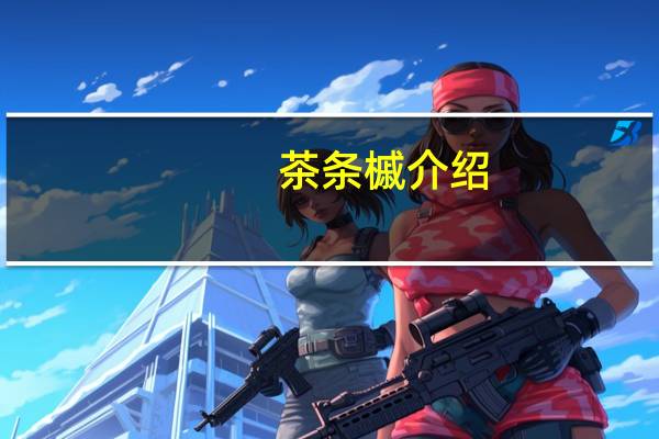 茶条槭介绍