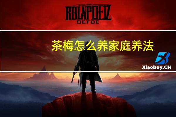 茶梅怎么养家庭养法