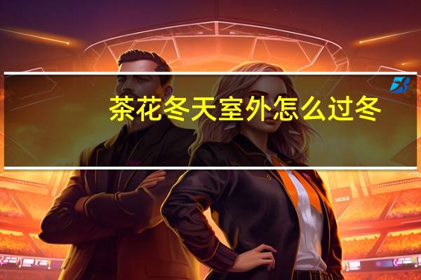 茶花冬天室外怎么过冬