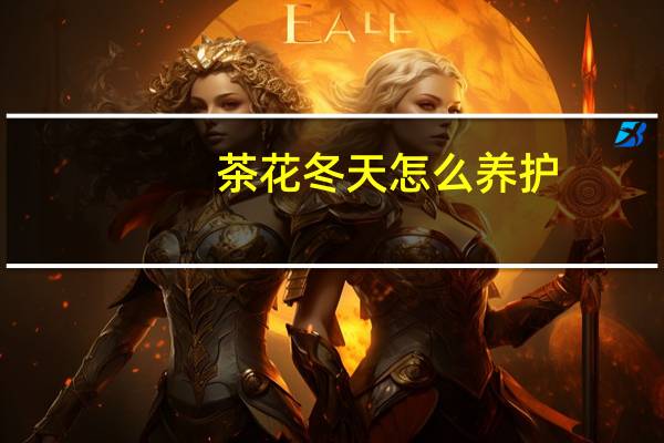茶花冬天怎么养护