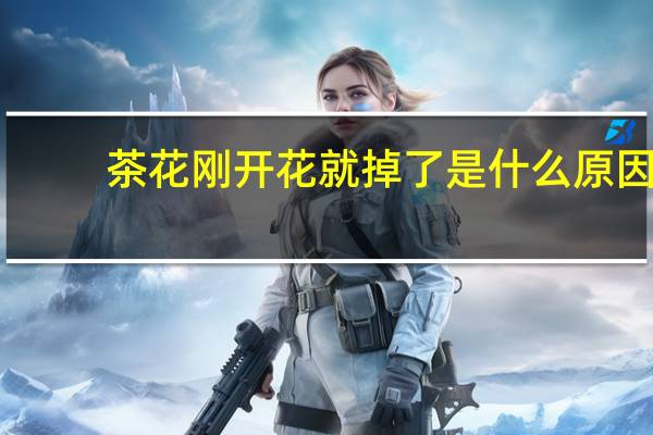 茶花刚开花就掉了是什么原因