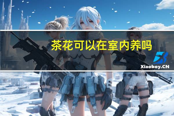 茶花可以在室内养吗