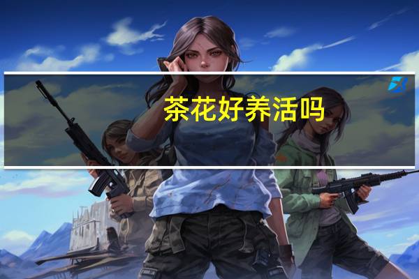 茶花好养活吗