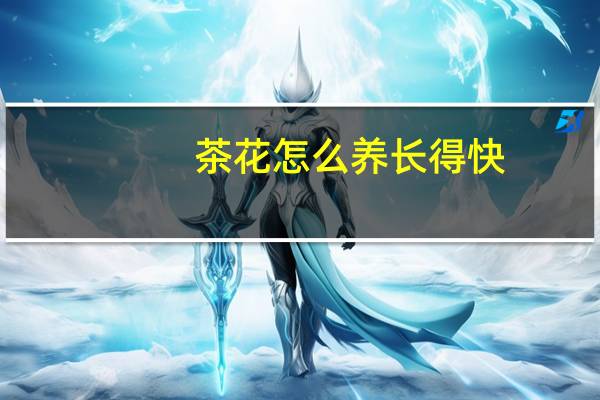 茶花怎么养长得快