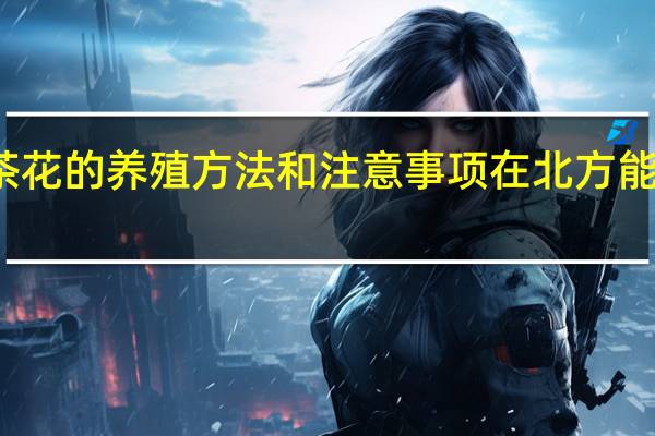 茶花的养殖方法和注意事项在北方能过冬吗