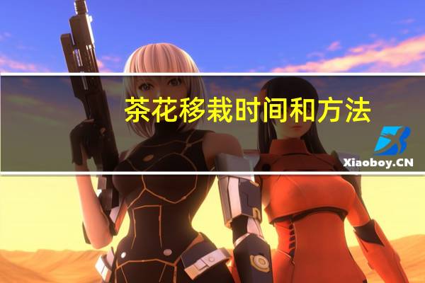 茶花移栽时间和方法