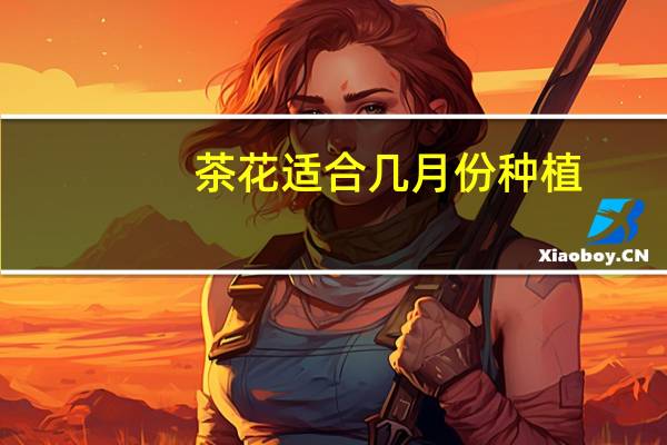 茶花适合几月份种植