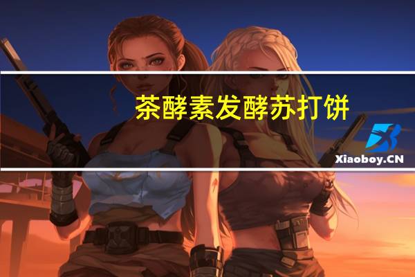 茶酵素 发酵苏打饼( 无添加蔗糖)的热量是多少