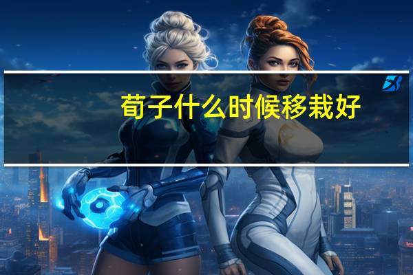 荀子什么时候移栽好