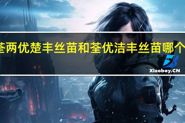 荃两优楚丰丝苗和荃优洁丰丝苗哪个产量高