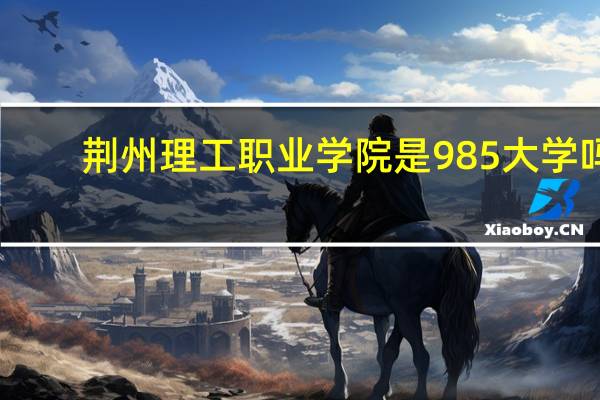荆州理工职业学院是985大学吗