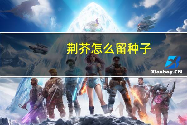 荆芥怎么留种子