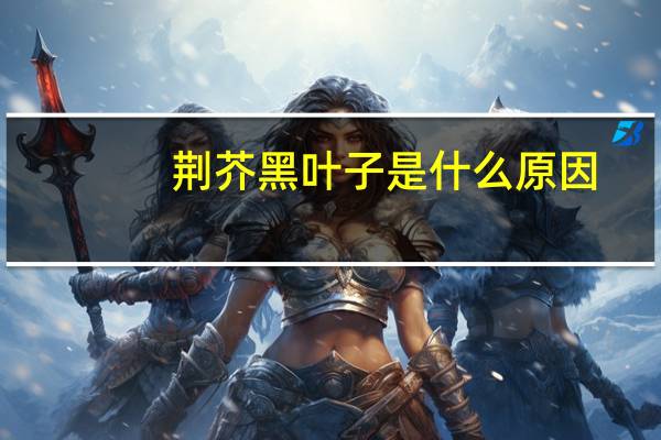 荆芥黑叶子是什么原因