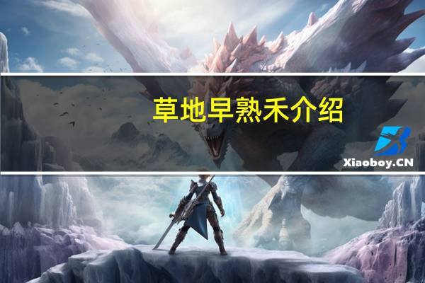 草地早熟禾介绍
