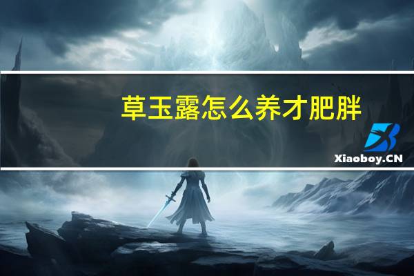 草玉露怎么养才肥胖