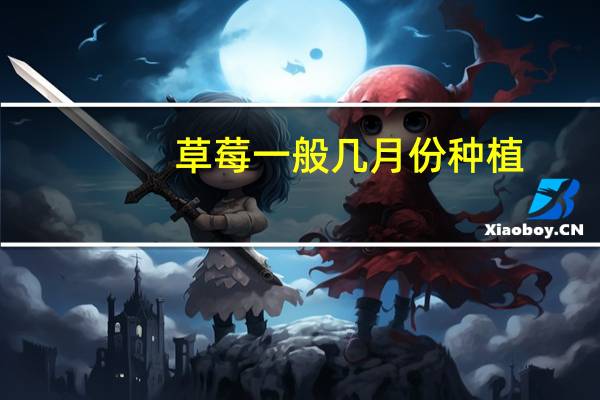 草莓一般几月份种植