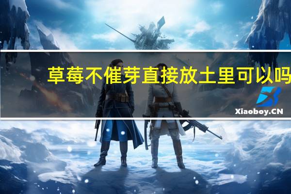 草莓不催芽直接放土里可以吗