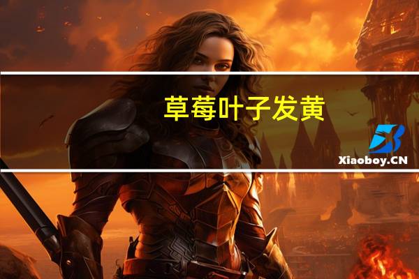 草莓叶子发黄