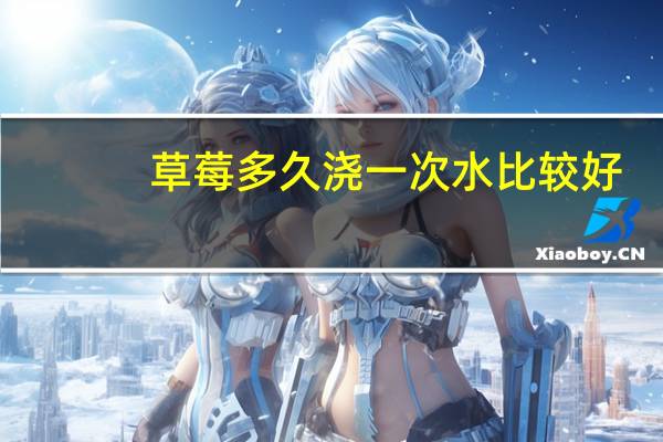 草莓多久浇一次水比较好