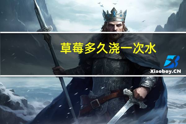 草莓多久浇一次水