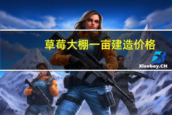 草莓大棚一亩建造价格