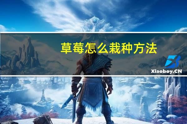 草莓怎么栽种方法