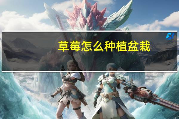 草莓怎么种植盆栽