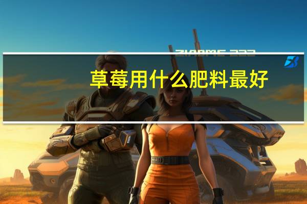 草莓用什么肥料最好