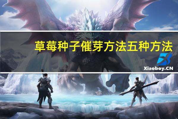 草莓种子催芽方法五种方法