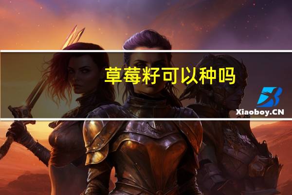 草莓籽可以种吗