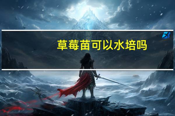 草莓苗可以水培吗