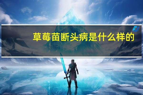草莓苗断头病是什么样的