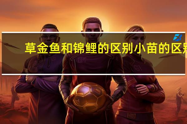 草金鱼和锦鲤的区别小苗的区别(草金鱼和锦鲤的区别)