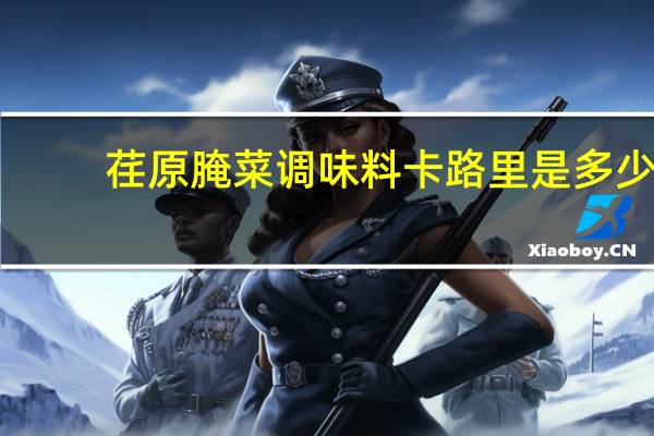 荏原 腌菜调味料卡路里是多少