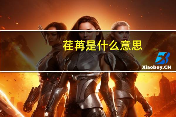 荏苒是什么意思