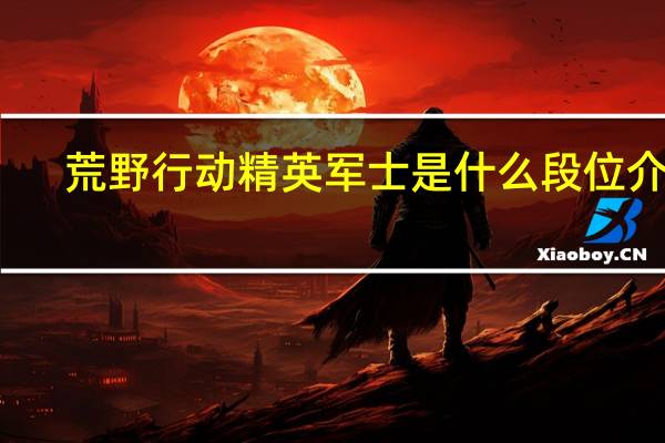 荒野行动精英军士是什么段位介绍_荒野行动精英军士是什么段位是什么