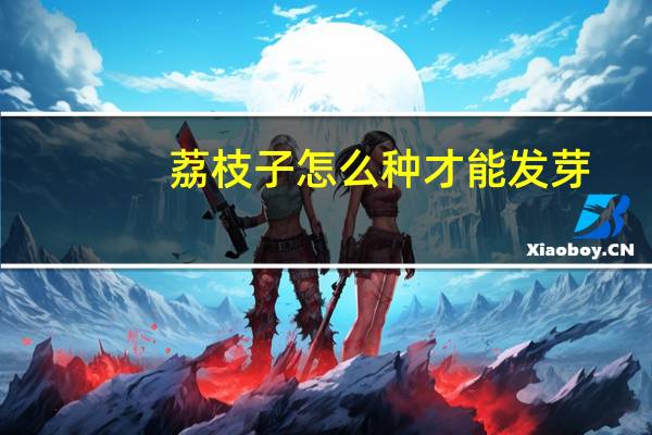 荔枝子怎么种才能发芽