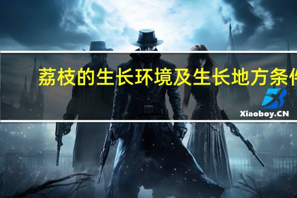 荔枝的生长环境及生长地方条件