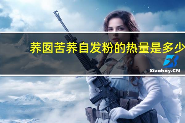 荞囡 苦荞自发粉的热量是多少