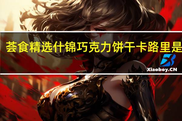 荟食 精选什锦巧克力饼干卡路里是多少