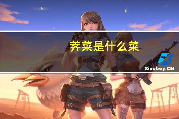 荠菜是什么菜